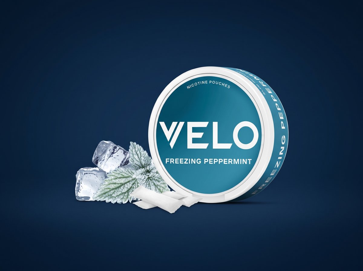 Snus vs Nicotine Pouches: The Complete UK Comparison